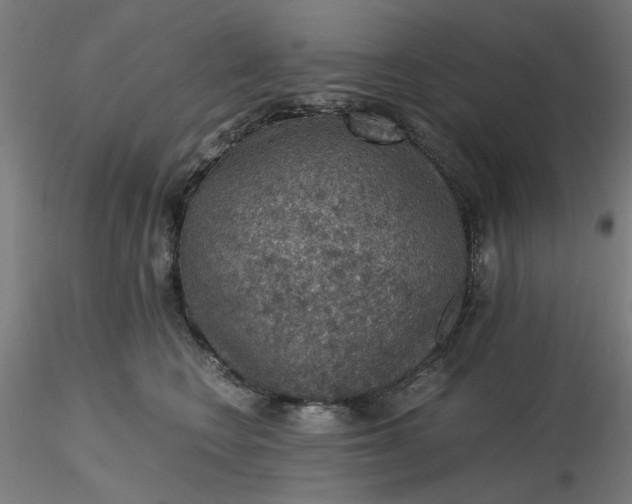 X0000116480566200912231133