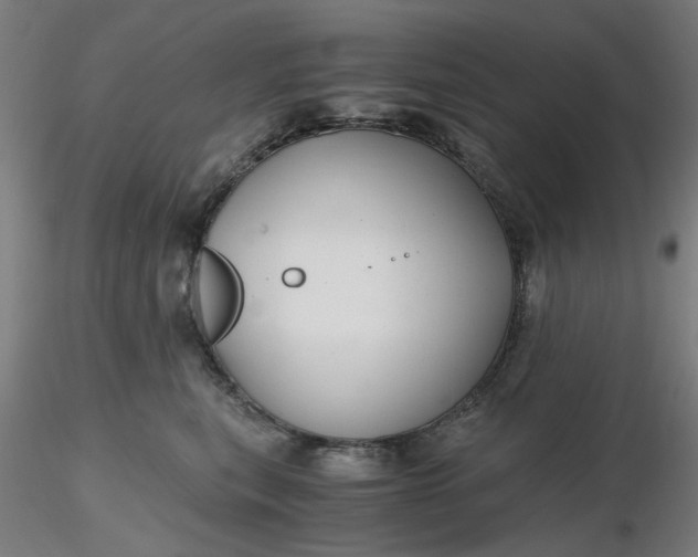 X0000116480567200912231133