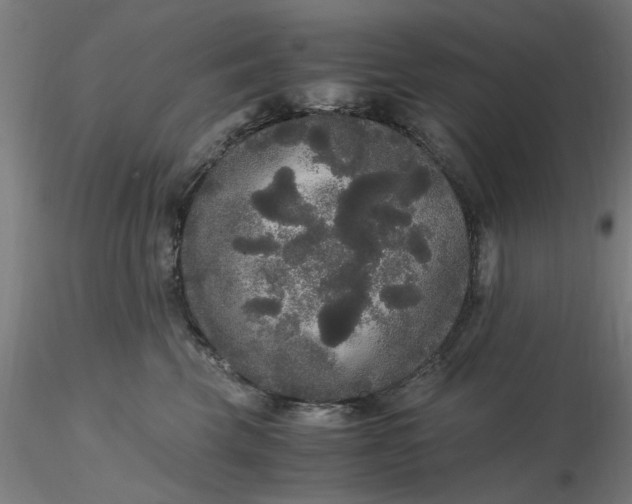 X0000116480569200912231133