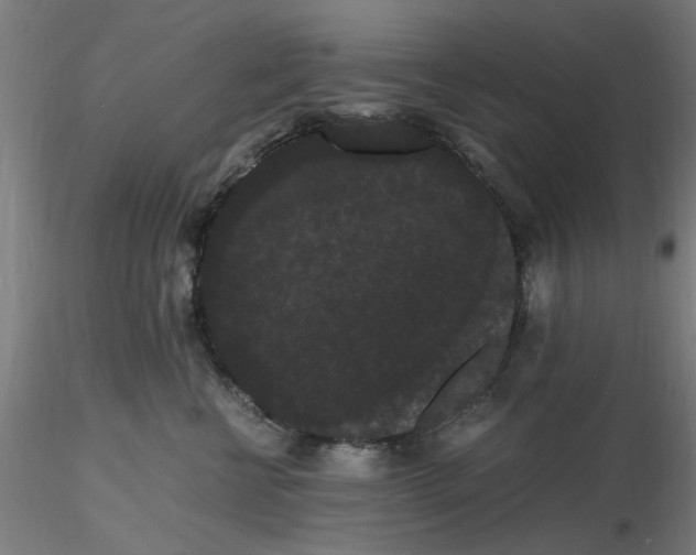 X0000116480570200912231133