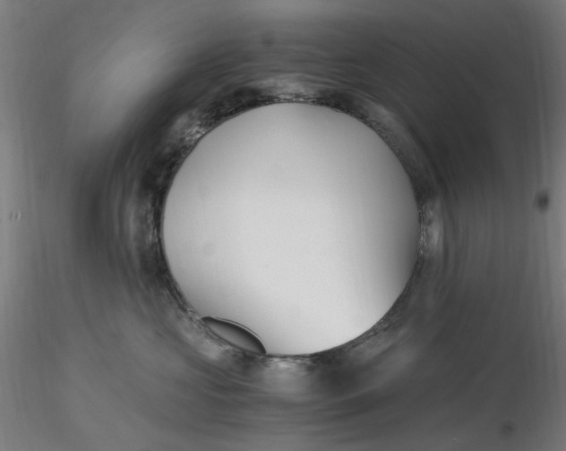 X0000116480573200912231133