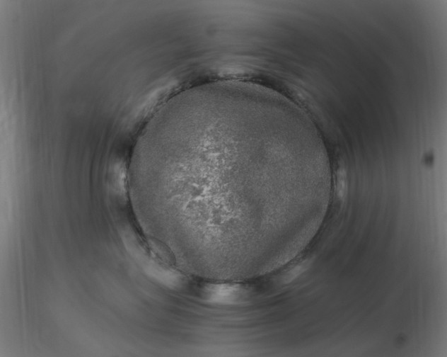 X0000116480575200912231133