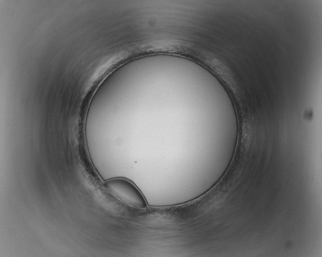 X0000116480578200912231132