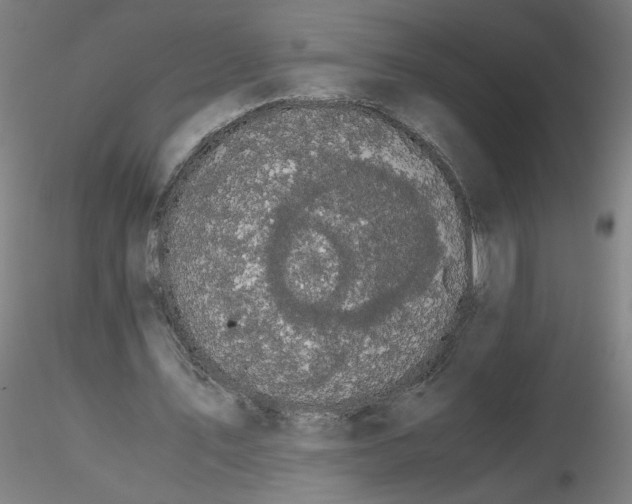 X0000116480579200912231132