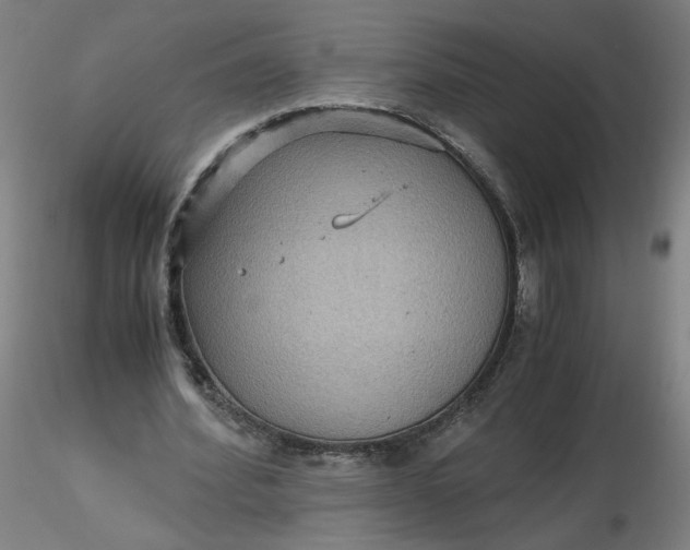 X0000116480580200912231132