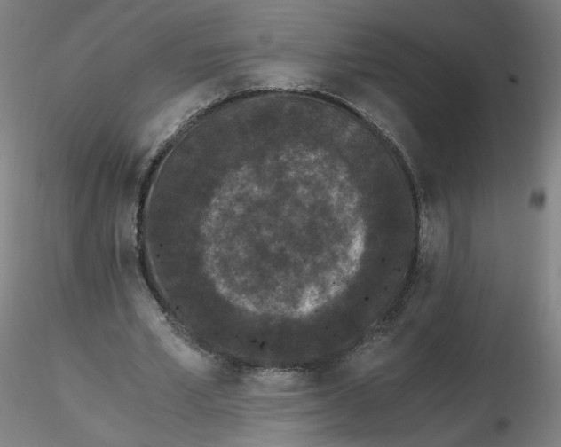 X0000116480581200912231132