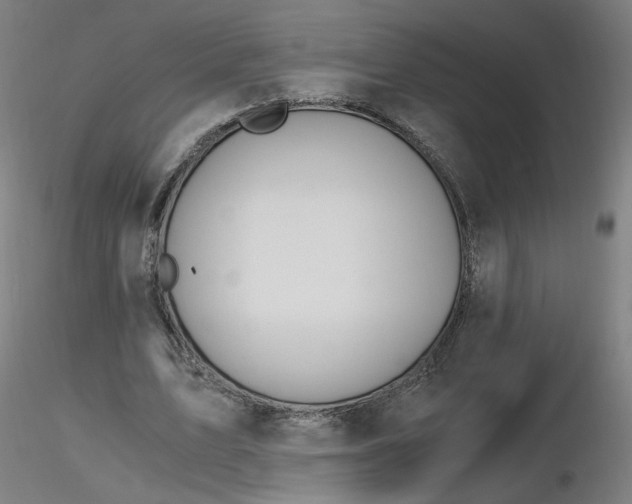 X0000116480583200912231132