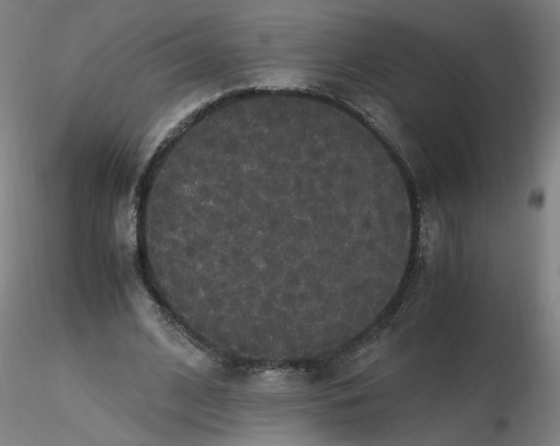 X0000116480584200912231132