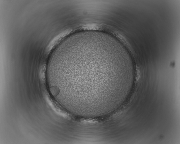 X0000116480586200912231132