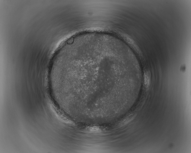 X0000116480588200912231132