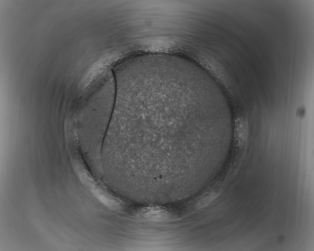 X0000116480589200912231132