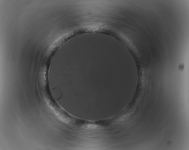 X0000116480590200912231132