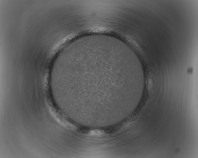 X0000116480591200912231132