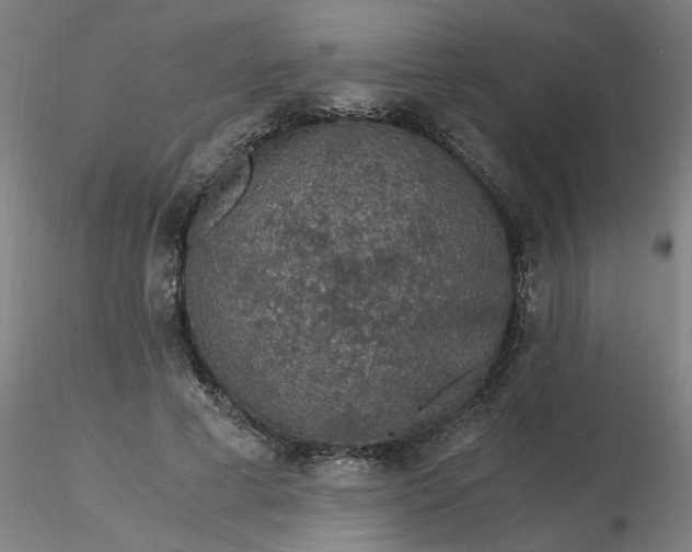 X0000116480593200912231132