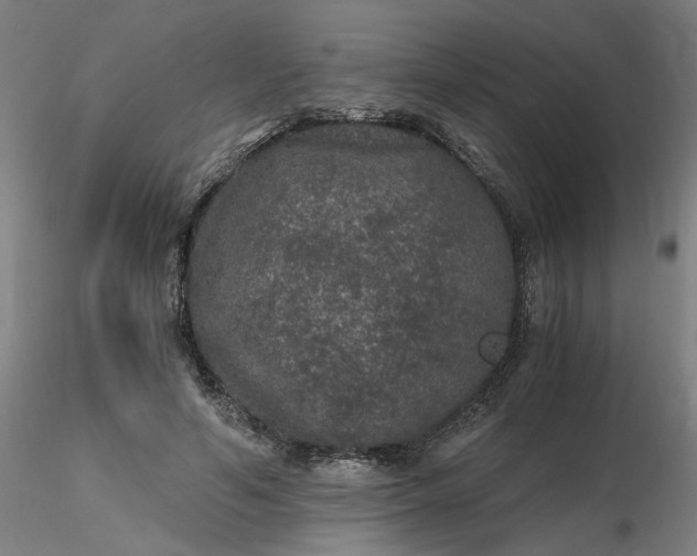 X0000116480594200912231132