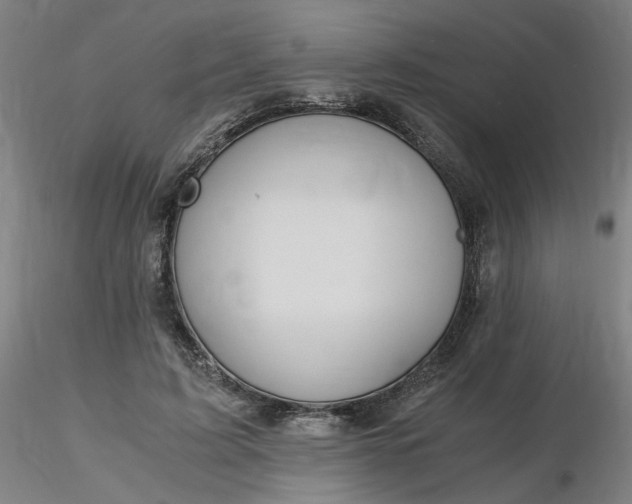 X0000116480595200912231132