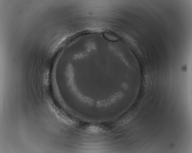 X0000116480596200912231132