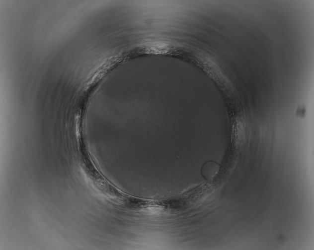 X0000116480598200912231132