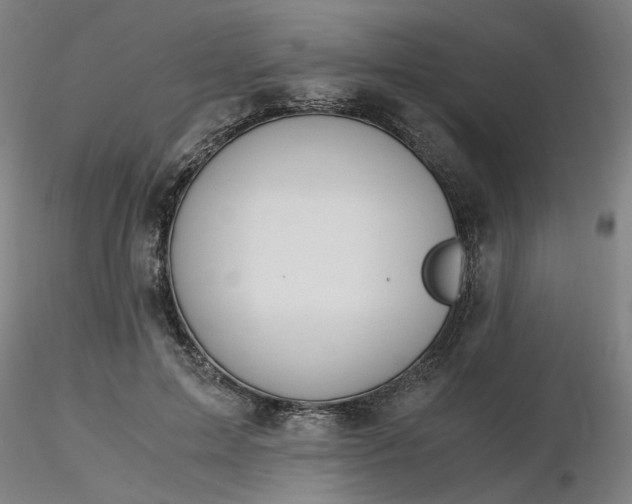 X0000116480599200912231132