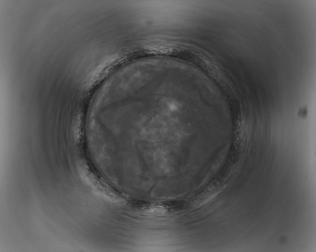 X0000116480600200912231132