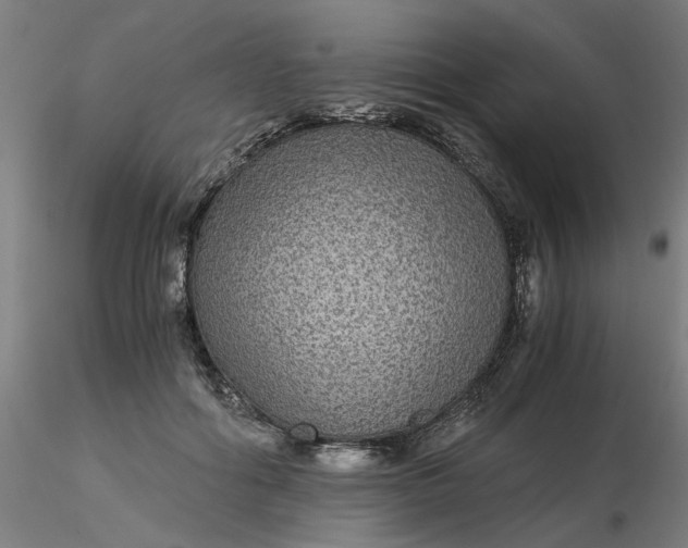 X0000116480602200912231132