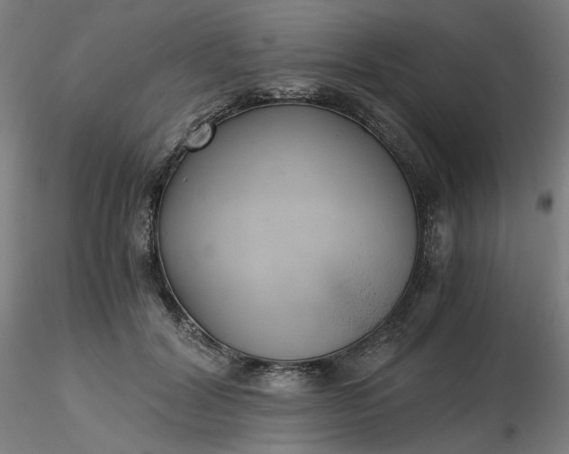 X0000116480604200912231132