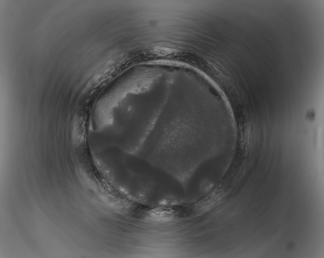 X0000116480606200912231132