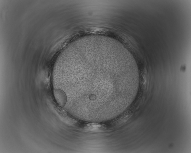 X0000116480607200912231132