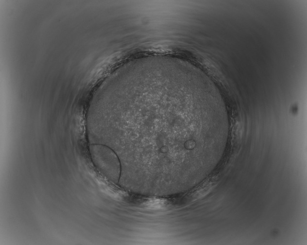 X0000116480609200912231132