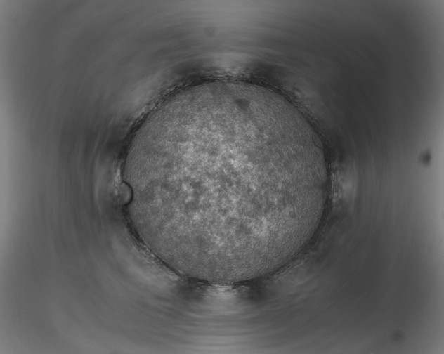 X0000116480613200912231132