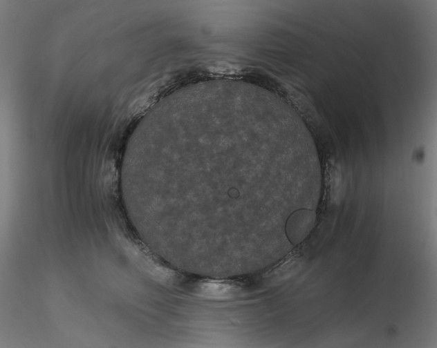 X0000116480614200912231132