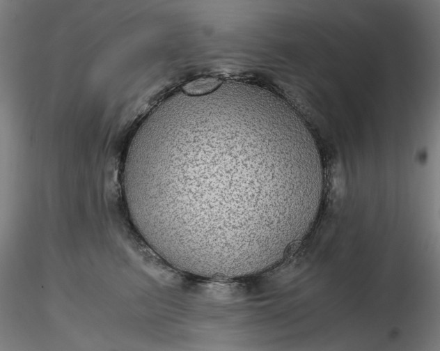 X0000116480615200912231132