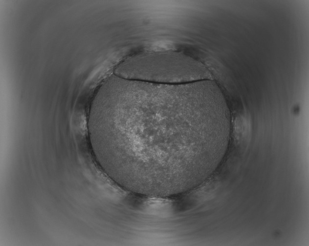 X0000116480617200912231132