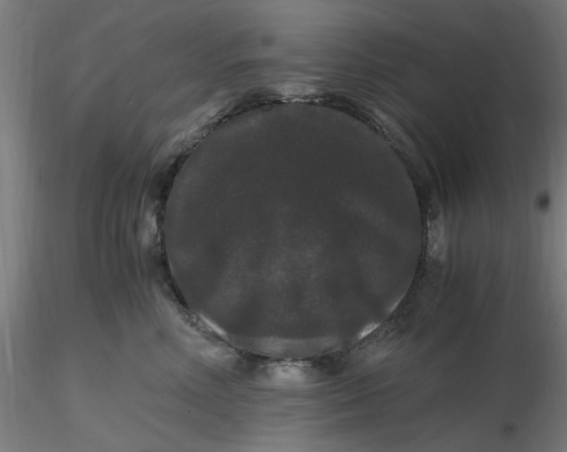 X0000116480618200912231132