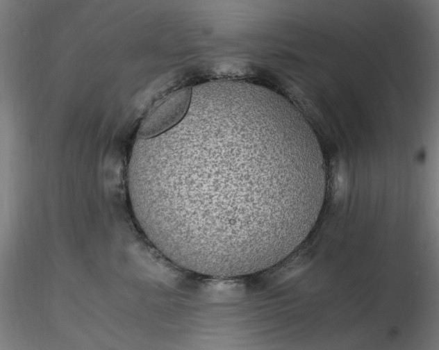 X0000116480619200912231132