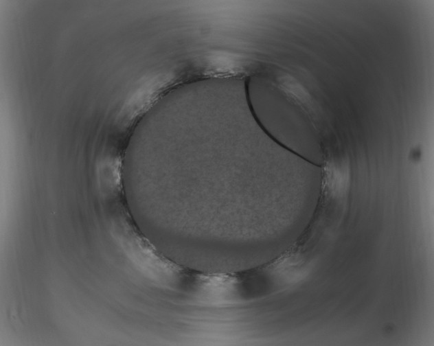 X0000116480621200912231132