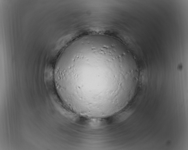 X0000116480623200912231132