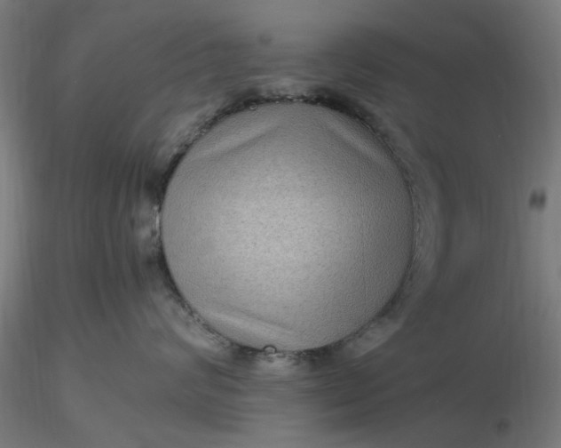 X0000116480624200912231132