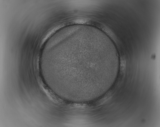 X0000116480626200912231131