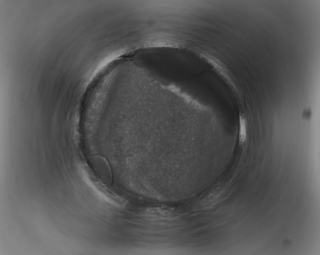 X0000116480627200912231131