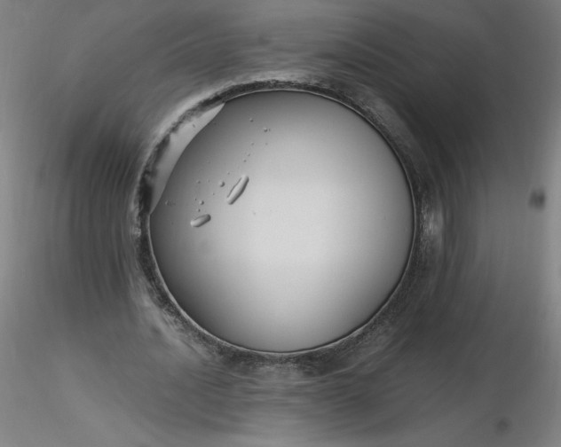 X0000116480628200912231131