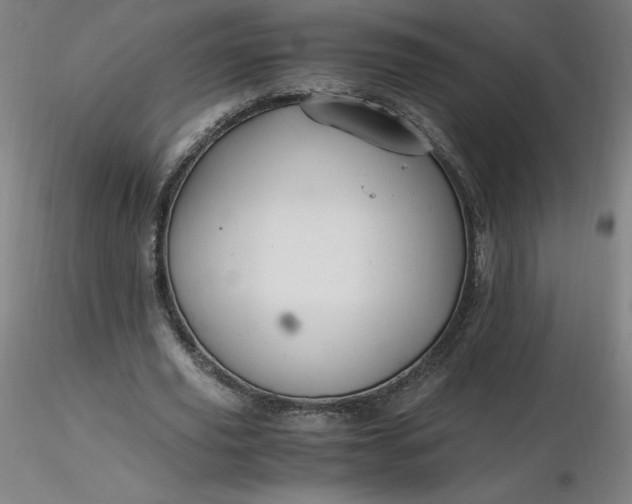 X0000116480629200912231131