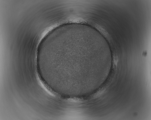 X0000116480630200912231131