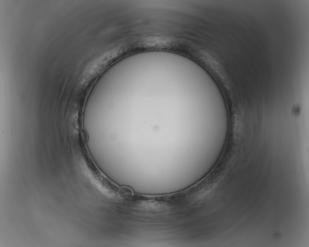 X0000116480633200912231131