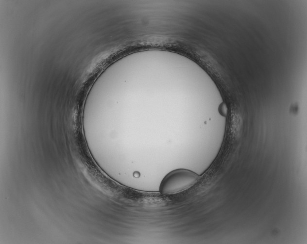 X0000116480636200912231131