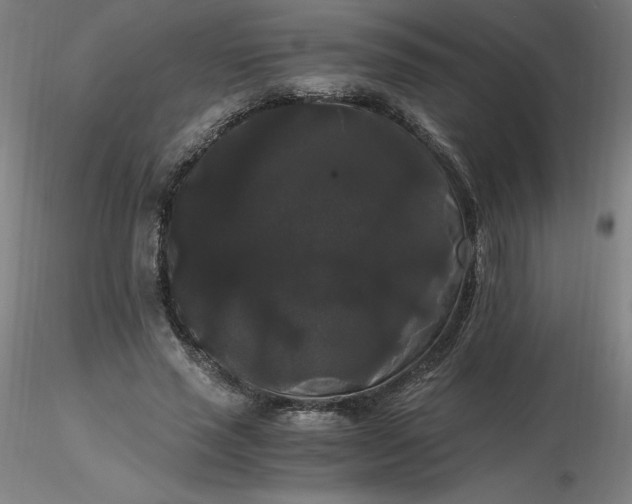 X0000116480637200912231131