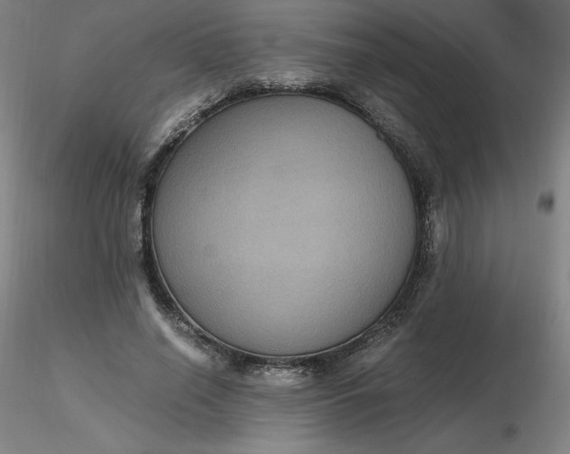 X0000116480638200912231131