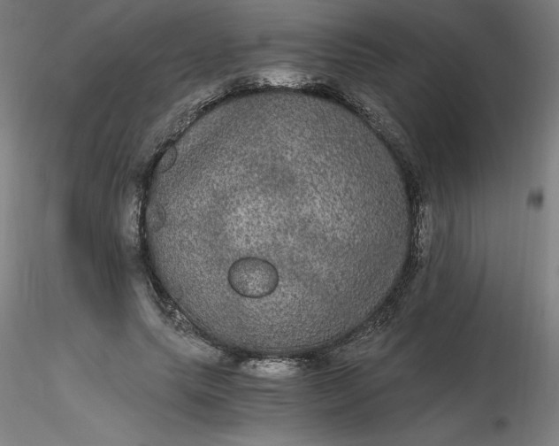 X0000116480639200912231131