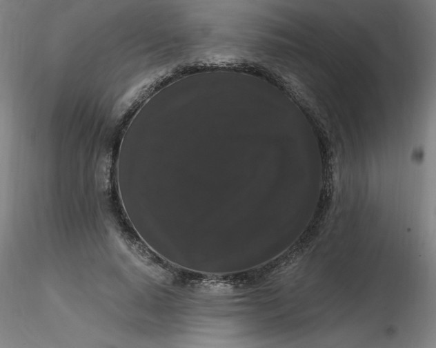 X0000116480640200912231131