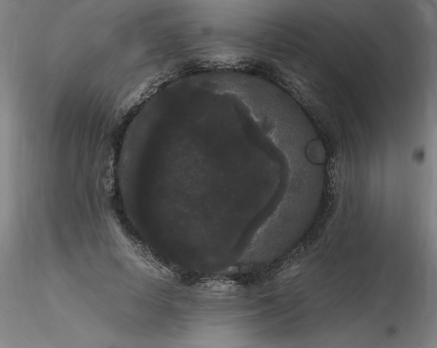 X0000116480642200912231131